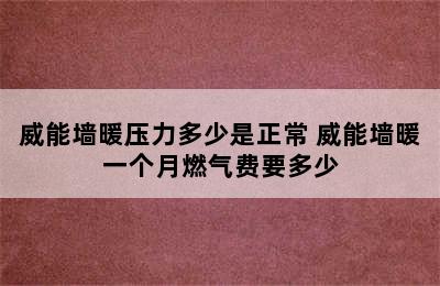 威能墙暖压力多少是正常 威能墙暖一个月燃气费要多少